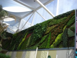 zeleni zidovi.uredjenje zelenih povrsina (5)