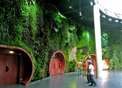 zeleni zidovi.uredjenje zelenih povrsina (9)