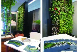 zeleni zidovi i zeleni krovovi (5)